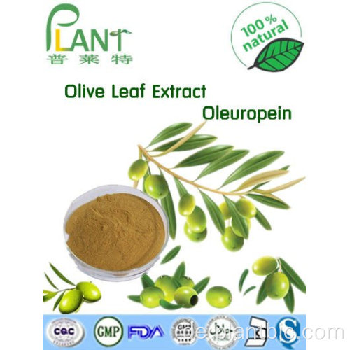 HPLC Olivenblattextrakt Oleuropein 20% 98%